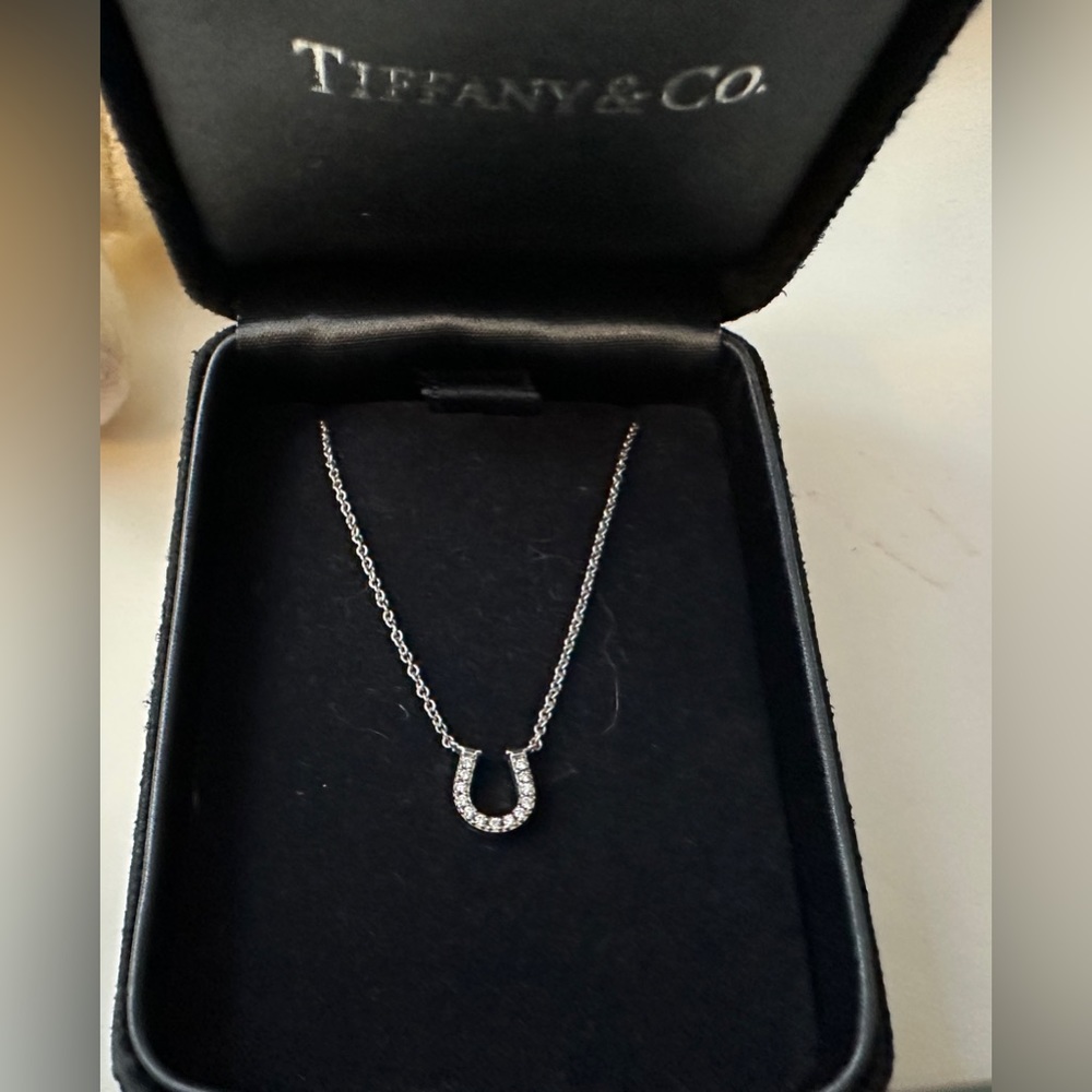 Tiffany horseshoe diamond 18k white gold Necklace